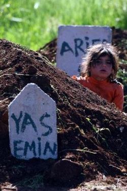 Mardin Katliam - 2009